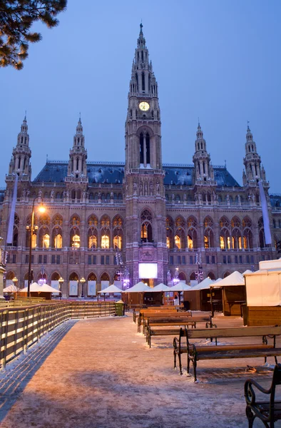 Відень - ратуша в зимовий ранок — стокове фото