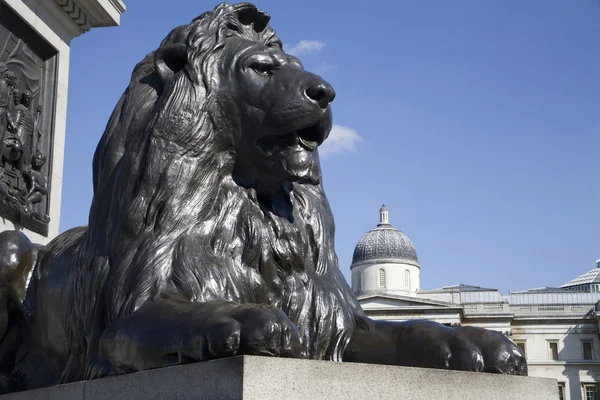 -Oroszlán fom Nelson-emlékmű - londoni Trafalgar square — Stock Fotó
