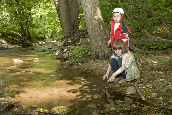 Маленькие девочки у лесного ручья — стоковое фото