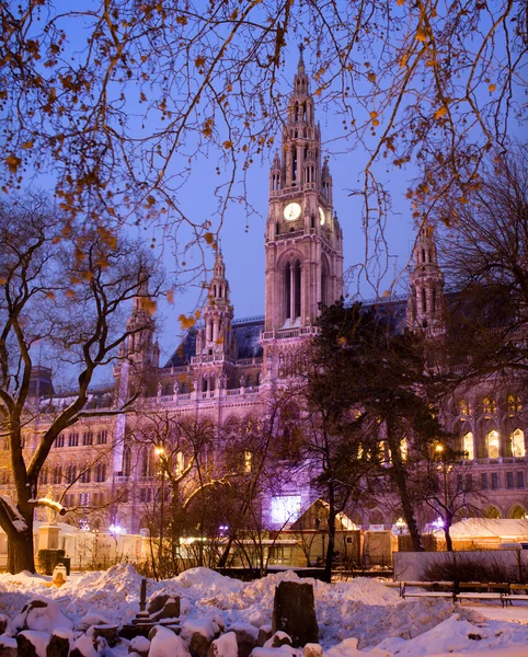 Vienna - town hall in winter — Stock Photo, Image