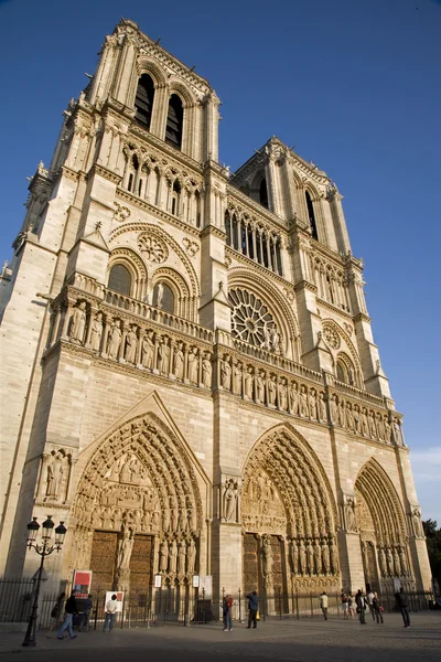 Parijs - notre dame kathedraal in Avondlicht — Stockfoto