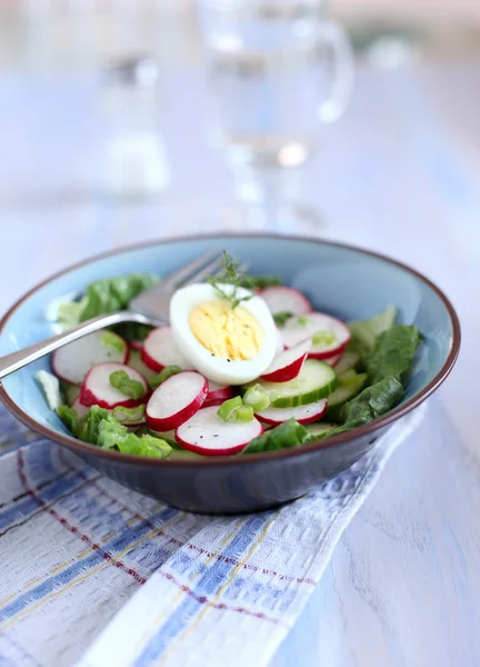 stock image Spring salad with ,radish, cucumber and egg