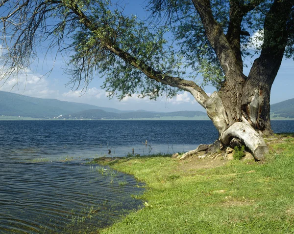 Lago Batak, montagna Rodopi — Foto Stock