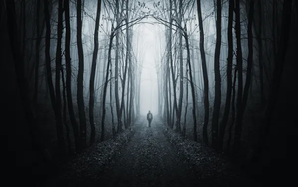 Homme marchant sur un sentier dans une forêt sombre avec du brouillard — Photo