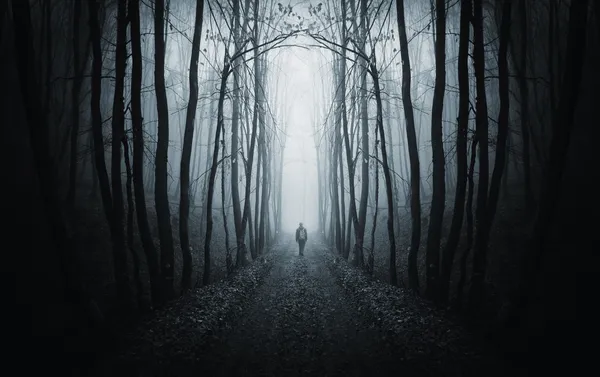 Uomo che cammina su un sentiero in una foresta buia con nebbia Immagini Stock Royalty Free