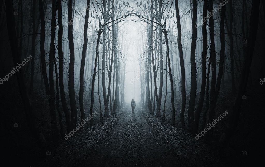 Pathway Through A Dark Forest Stock Photo