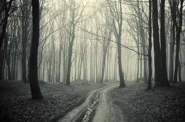 Path through a forest with black trees and mist clipart