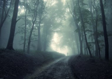 Man walking in a green forest with fog clipart