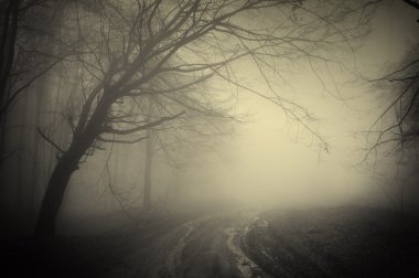 Road trough a dark mysterious forest with fog clipart