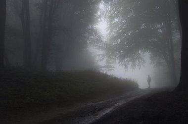 Man standing in a dark forest with fog after rain clipart