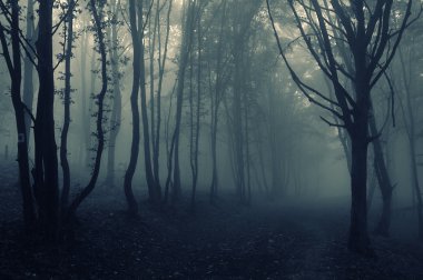 Dark mysterious forest with fog in autumn clipart