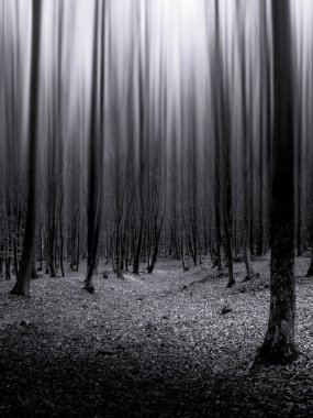 Infinite dark mysterious forest clipart