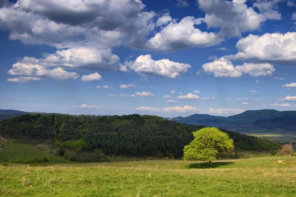 Paysage printanier avec herbe verte et nuages sur un ciel bleu — Photo