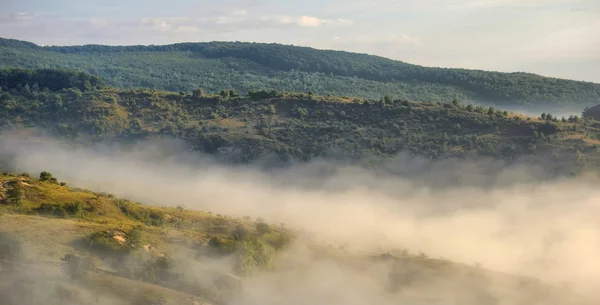 Paysage matinal avec brouillard se levant sur une prairie verte — Photo