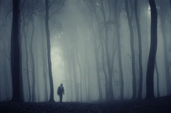 Silueta del hombre en la niebla en un bosque — Foto de Stock