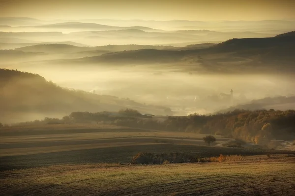 Landschap met mist op een weide in het najaar van — Stockfoto