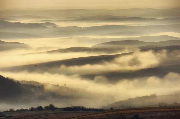 Landschap met heuvels mist en een vogel — Stockfoto
