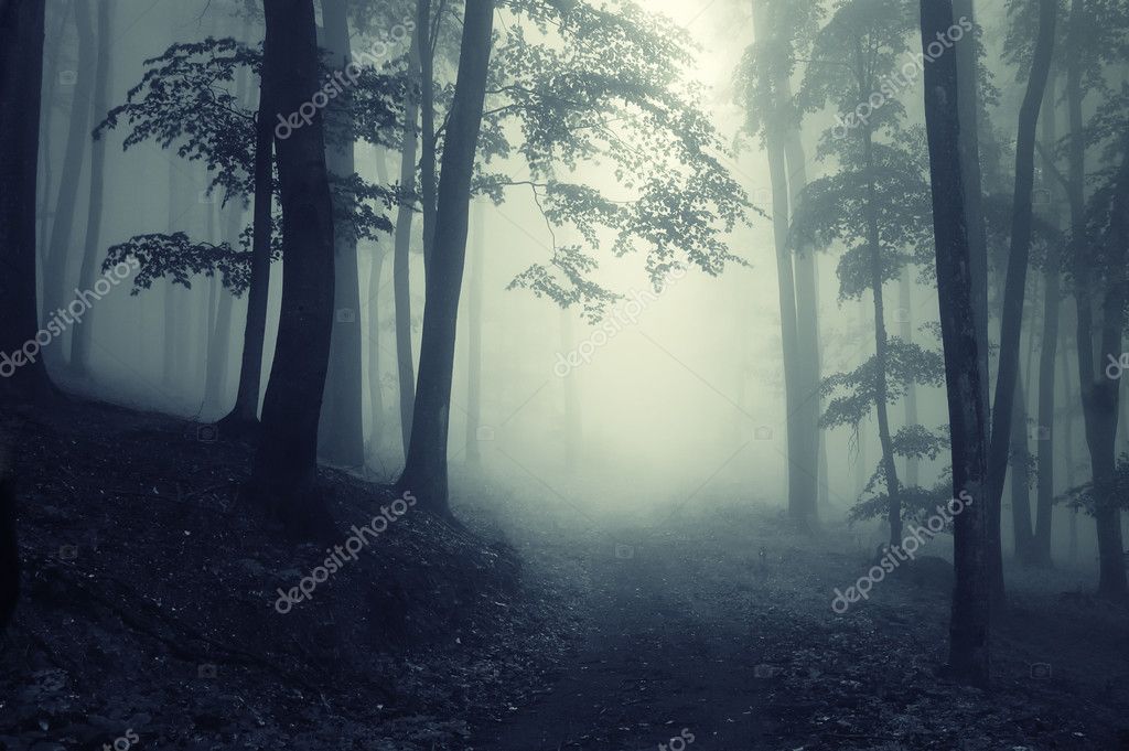 Path Trough A Dark Mysterious Forest With Fog Stock Photo Image By C Photocosma