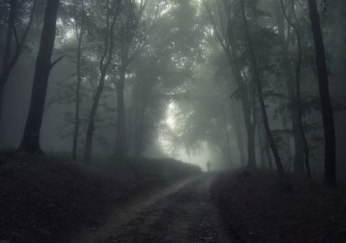 Man in a forest with fog clipart