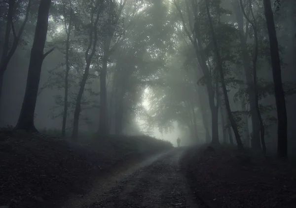 Köd az erdő az ember — Stock Fotó