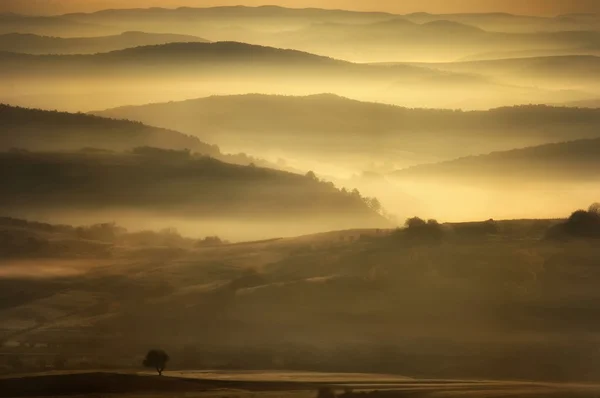 Krajina ukazující mlhavé ráno — Stock fotografie