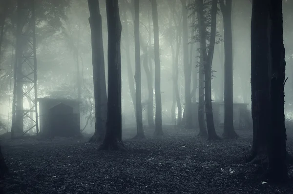 stock image House in the fog