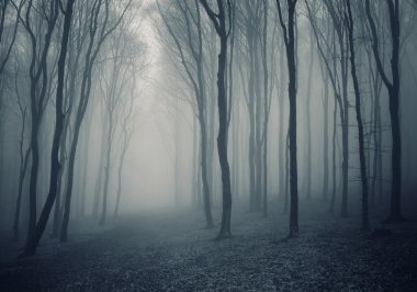 Thick dark forest with fog in autumn clipart