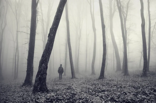 Человек, потерявшийся в волшебном лесу — стоковое фото