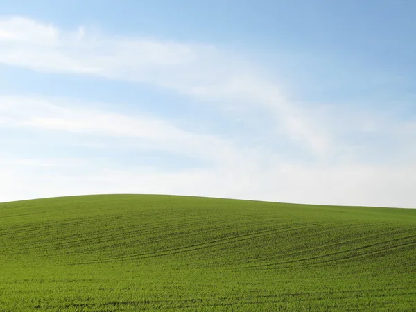 stock image Green Meadow