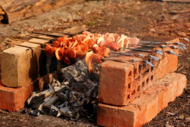 Şiş kebap.