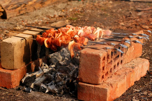 Shish kebab — Fotografie, imagine de stoc