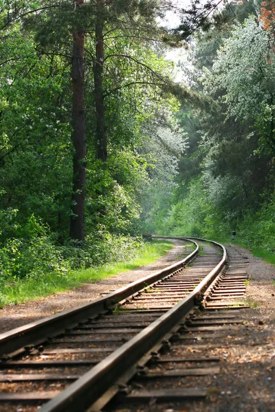 Spoorwegen in hout — Stockfoto