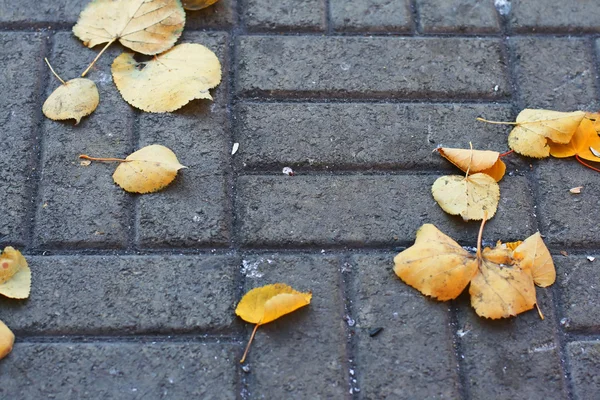 stock image Tile with yellow sheet