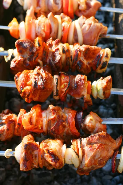 stock image Shish kebab