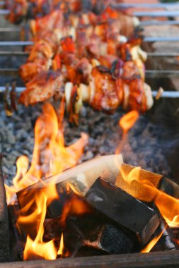 Shish kebab and fire clipart