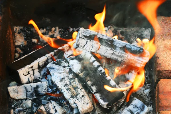 Burninging καυσόξυλα — Φωτογραφία Αρχείου