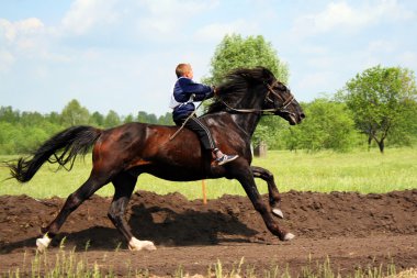 Young horseman clipart