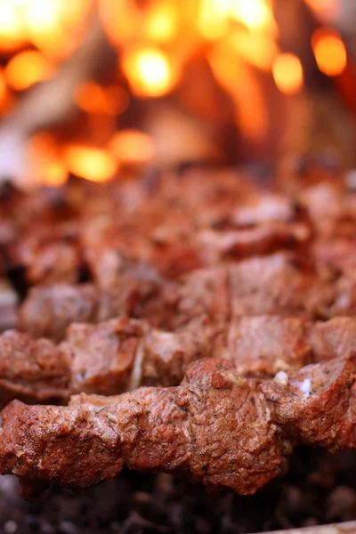 Kebab dello shish — Foto Stock