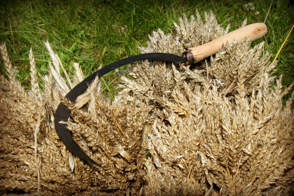 Stock image Old rusty sickle