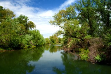 Danube delta landscape clipart