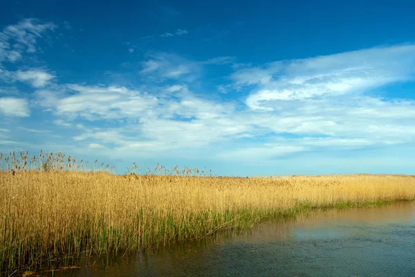 Danube delta landscape — Stock Photo, Image