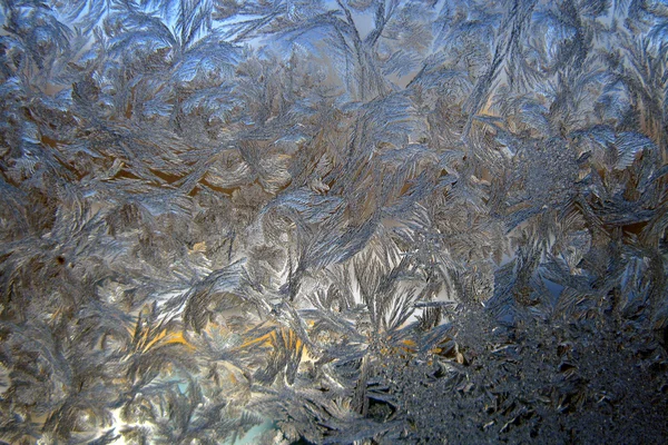 stock image Ice Flowers on Glass