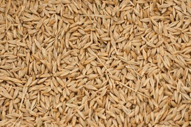 Barleycorn clipart