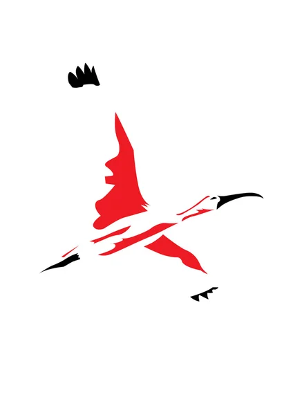 Ibis voando — Vetor de Stock