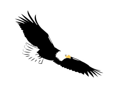 American eagle clipart