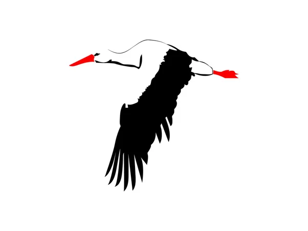 Cicogna bianca — Vettoriale Stock