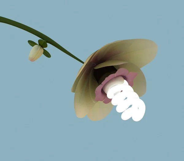 Tasarruflu ampul ile çiçek. yeşil enerji kavramı — Stok fotoğraf