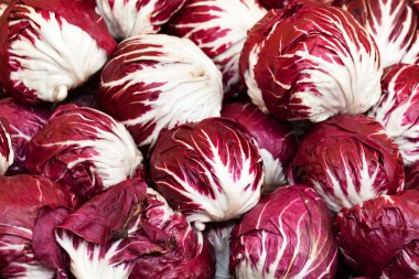 Radicchio heads clipart