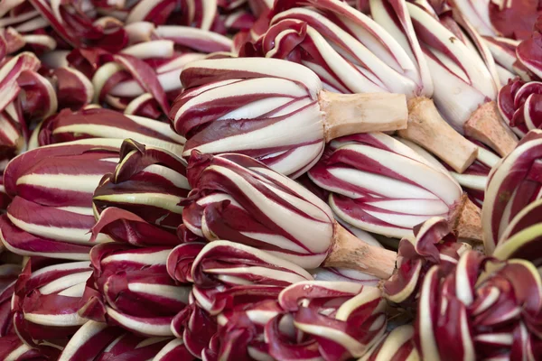 Red radicchio heads — Stock Photo, Image