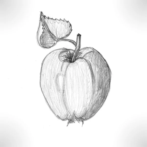Apple drawing — Stock Photo, Image